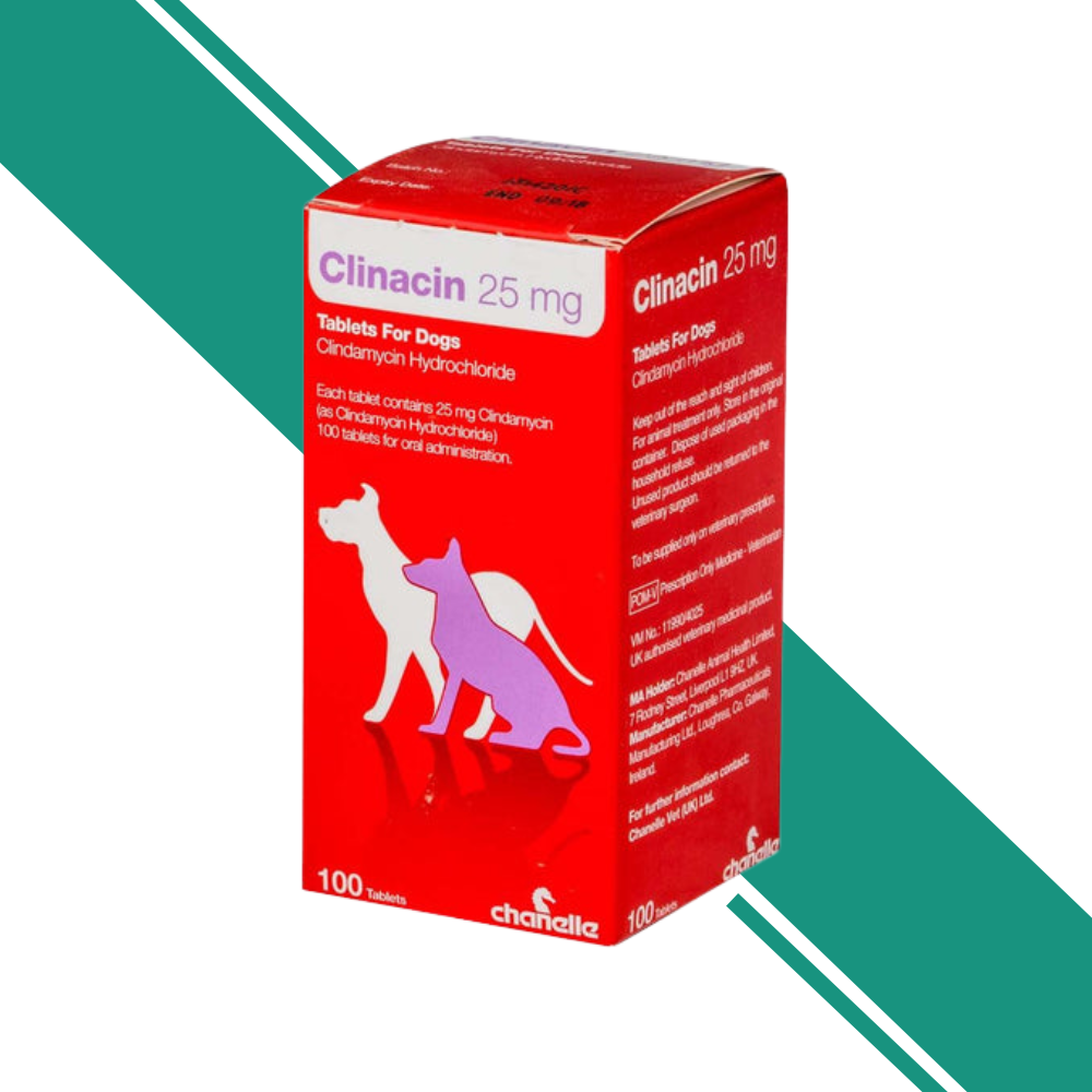 Clinacin Tablets formulated for Dogs